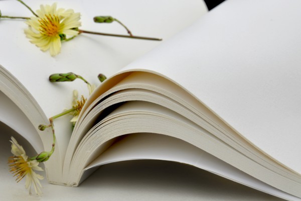 党委工作总结和政府工作总结的区别_镇党委政府工作总结 党委工作总结和政府工作总结的区别_镇党委政府工作总结