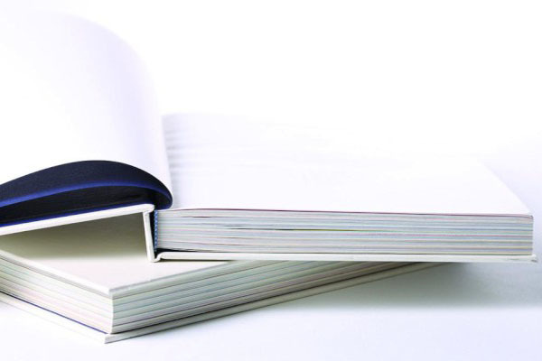 党委工作总结和政府工作总结的区别_镇党委政府工作总结